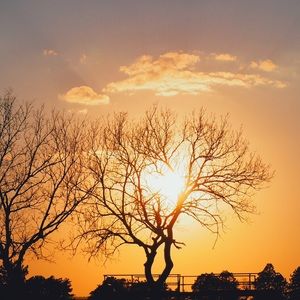 Meet your Posher, Sonya